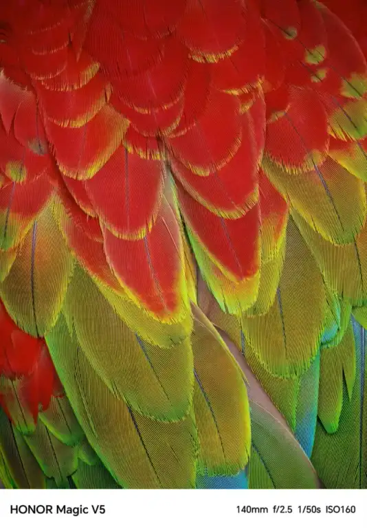 Honor Magic V5 review - Camera Sample